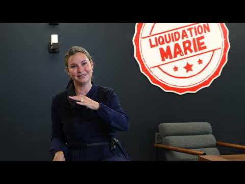 Websérie Épisode 1: En mode abeille - L’histoire de Liquidation Marie
